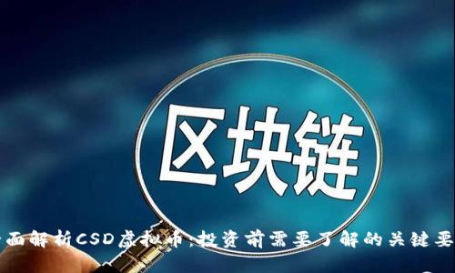 全面解析CSD虚拟币:投资前需要了解的关键要素