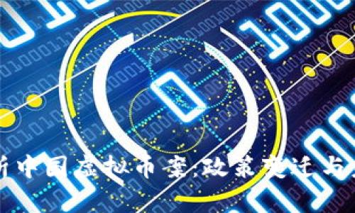全面解析中国虚拟币案：政策变迁与未来展望