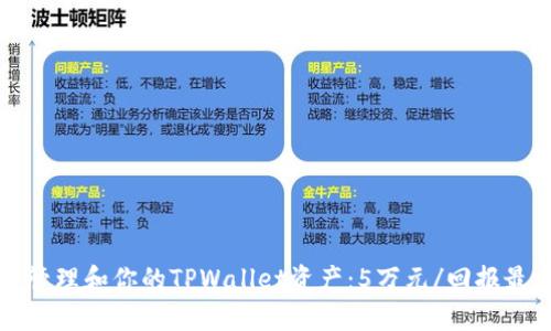 如何有效管理和你的TPWallet资产：5万元/回报最大化指南