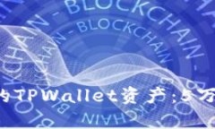 如何有效管理和你的TPWallet资产：5万元/回报最大