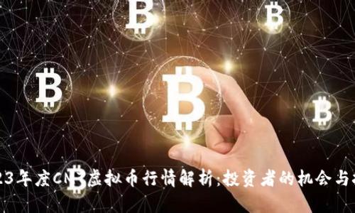 2023年度CMT虚拟币行情解析：投资者的机会与挑战