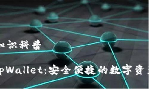 tpWallet知识科普

全面了解tpWallet：安全便捷的数字资产管理工具