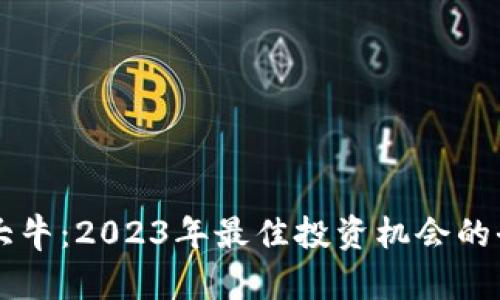 虚拟币大牛：2023年最佳投资机会的全面指南