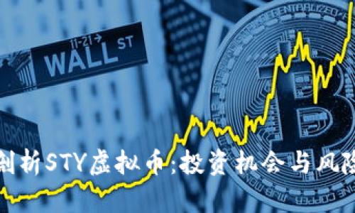 深度剖析STY虚拟币：投资机会与风险思考
