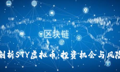 深度剖析STY虚拟币：投资机会与风险思考