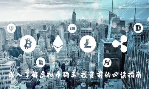 深入了解虚拟币狗王：投资前的必读指南