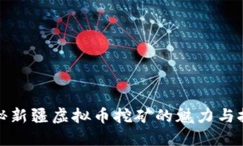 揭秘新疆虚拟币挖矿的魅力与挑战
