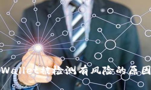深入探讨tpWallet被检测有风险的原因及应对策略