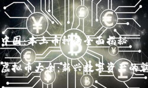 虚拟币在中国：本土币种的全面揭秘

中国本土虚拟币大全：新兴数字资产的魅力与挑战