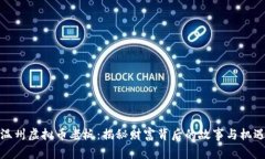 温州虚拟币老板：揭秘财