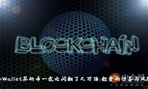 tpWallet买的币一夜之间翻了几万倍：投资的惊喜与风险