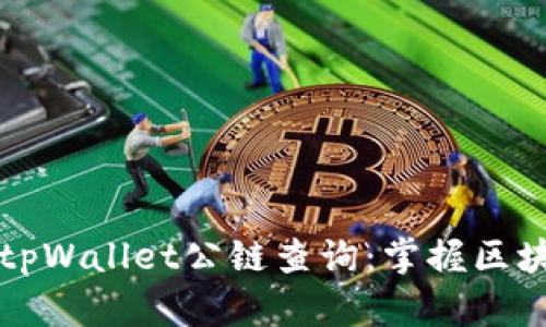 深入探索tpWallet公链查询：掌握区块链的未来