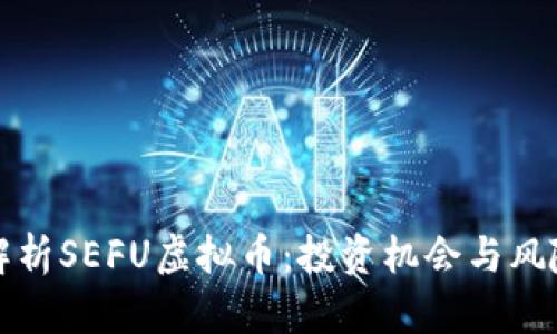 深入解析SEFU虚拟币：投资机会与风险评估