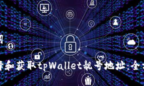 和关键词

如何选择和获取tpWallet靓号地址：全方位指南