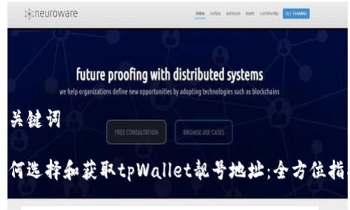 和关键词

如何选择和获取tpWallet靓号地址：全方位指南