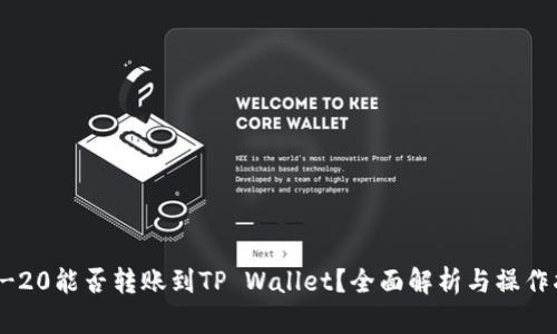 TRC-20能否转账到TP Wallet？全面解析与操作指南