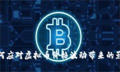 如何应对虚拟币价格波动带来的影响