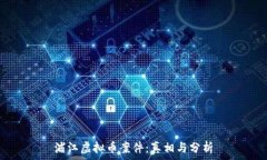   浦江虚拟币案件：真相与分析