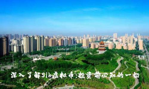 深入了解Sik虚拟币：投资前必知的一切