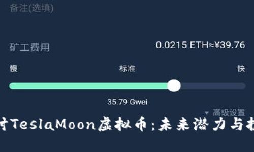 深入探讨TeslaMoon虚拟币：未来潜力与投资机会