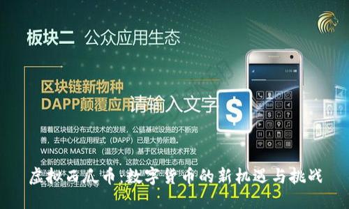 虚拟西瓜币：数字货币的新机遇与挑战