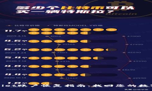 tpWallet账户恢复指南：找回您的数字资产