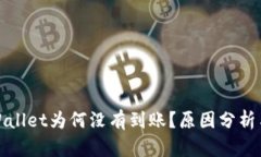 提币到tpWallet为何没有到账？原因分析与解决方案