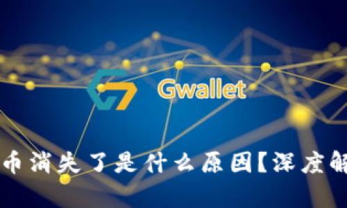 tpWallet里的币消失了是什么原因？深度解析及解决方案