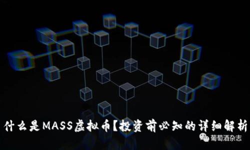 什么是MASS虚拟币？投资前必知的详细解析