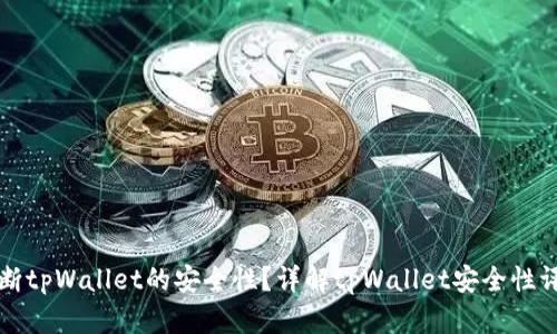 如何判断tpWallet的安全性？详解tpWallet安全性评估标准